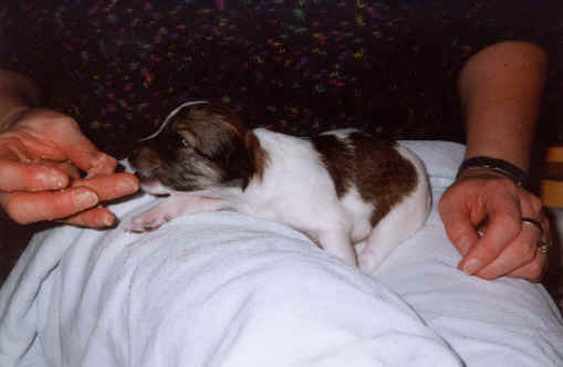 wpe16.jpg (14593 Byte)