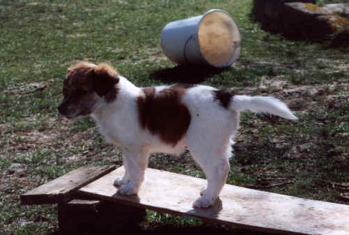 wpe10.jpg (22733 Byte)