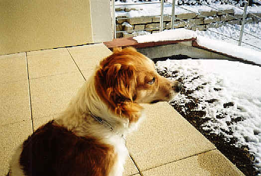 wpe15.jpg (31722 Byte)