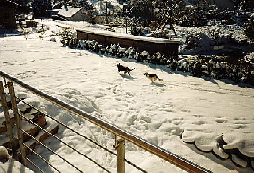 wpe17.jpg (39826 Byte)