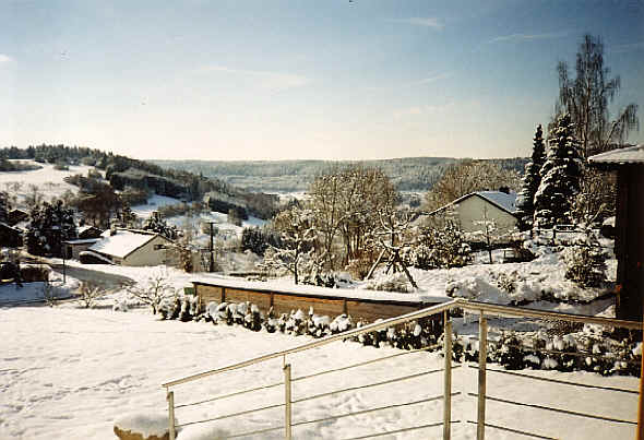 wpe18.jpg (38976 Byte)